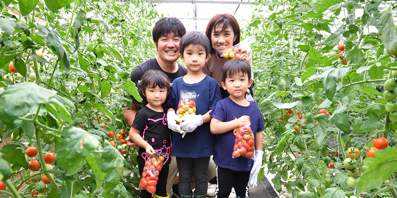Lindo-tomaco,Farm野菜の収穫体験