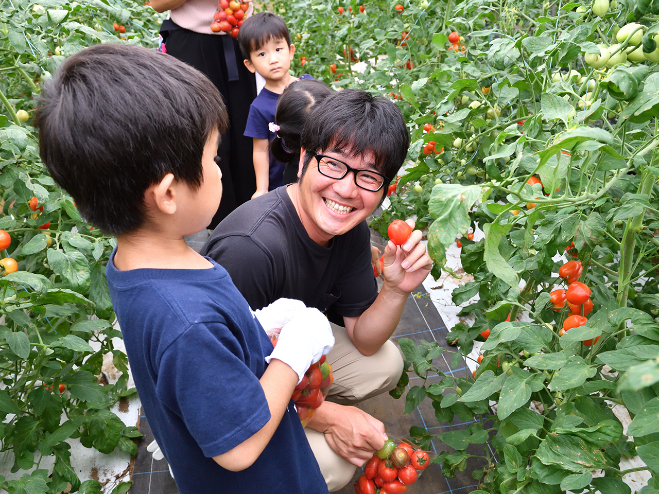 Lindo-tomaco,Farm収穫体験風景