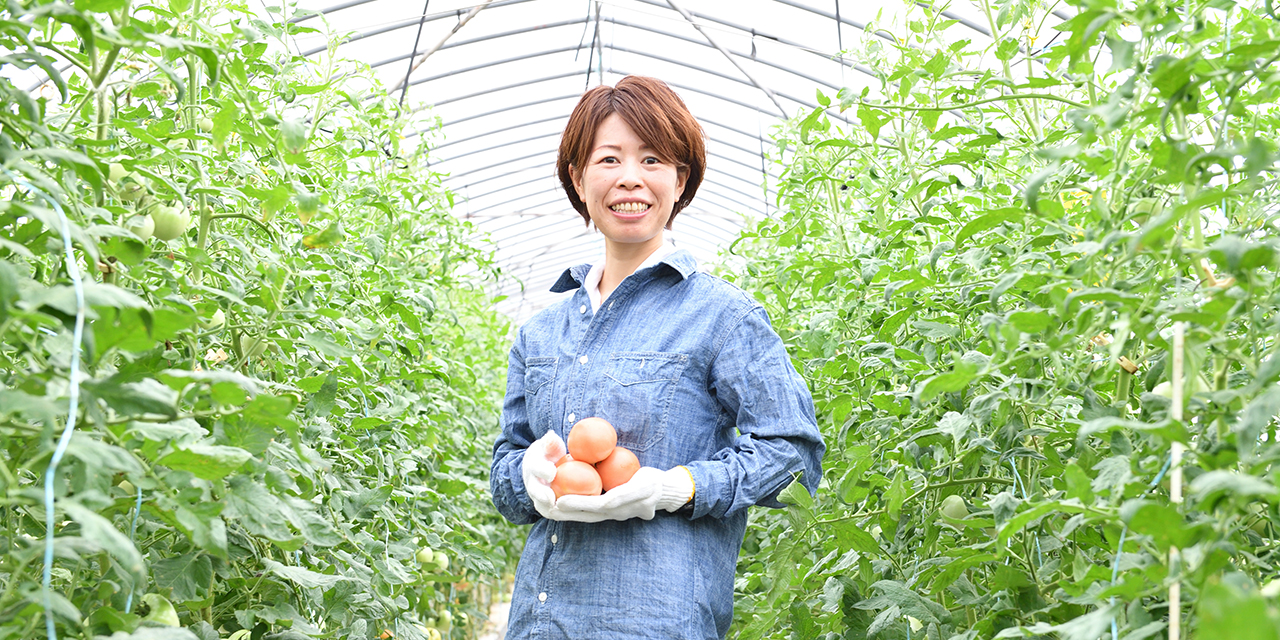Lindo-tomaco,Farm 代表写真