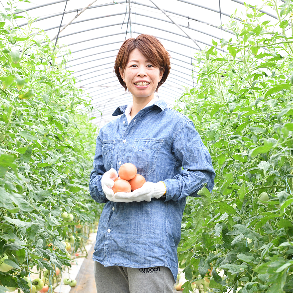 Lindo-tomaco,Farm 代表写真