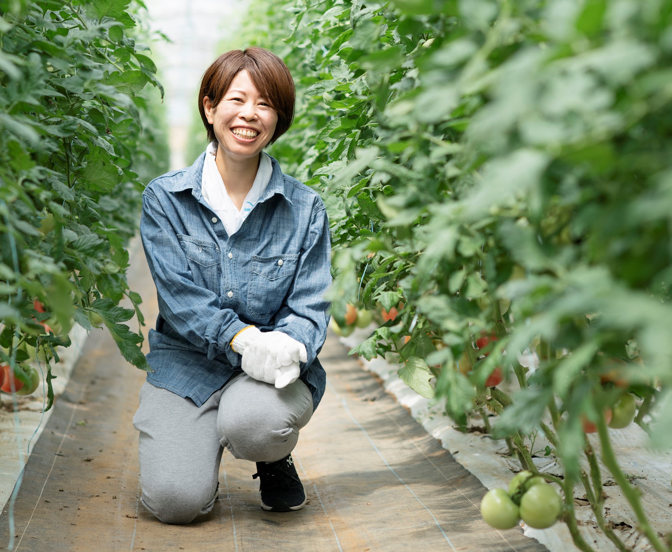 Lindo-tomaco,Farm 代表写真